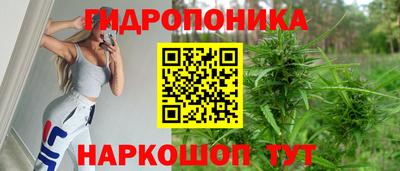 эйфоретик Будённовск