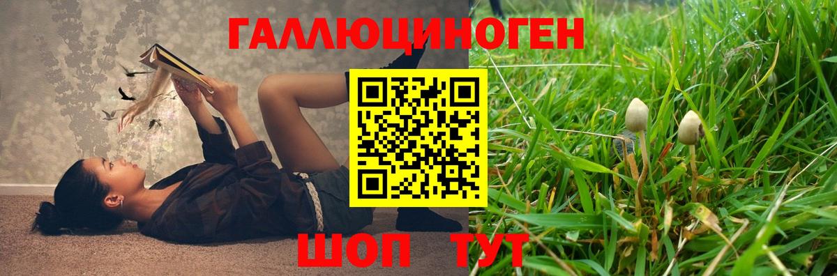 Озёры  купить  цена  Вход с VPN  Галлюциногенные грибы MAGIC MUSHROOMS 
